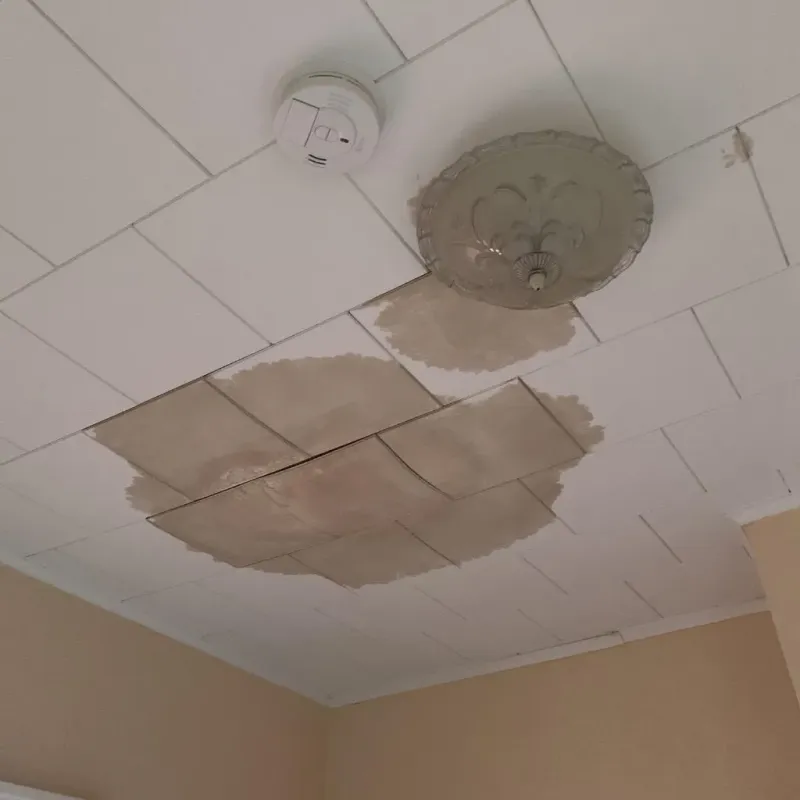 Ceiling Water Damage Repair in Bayonne, NJ