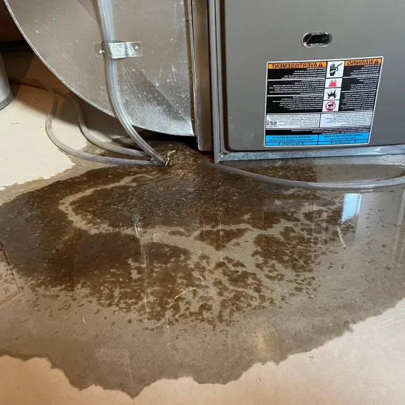 Pipe Burst and Leak Restoration in Bayonne, NJ