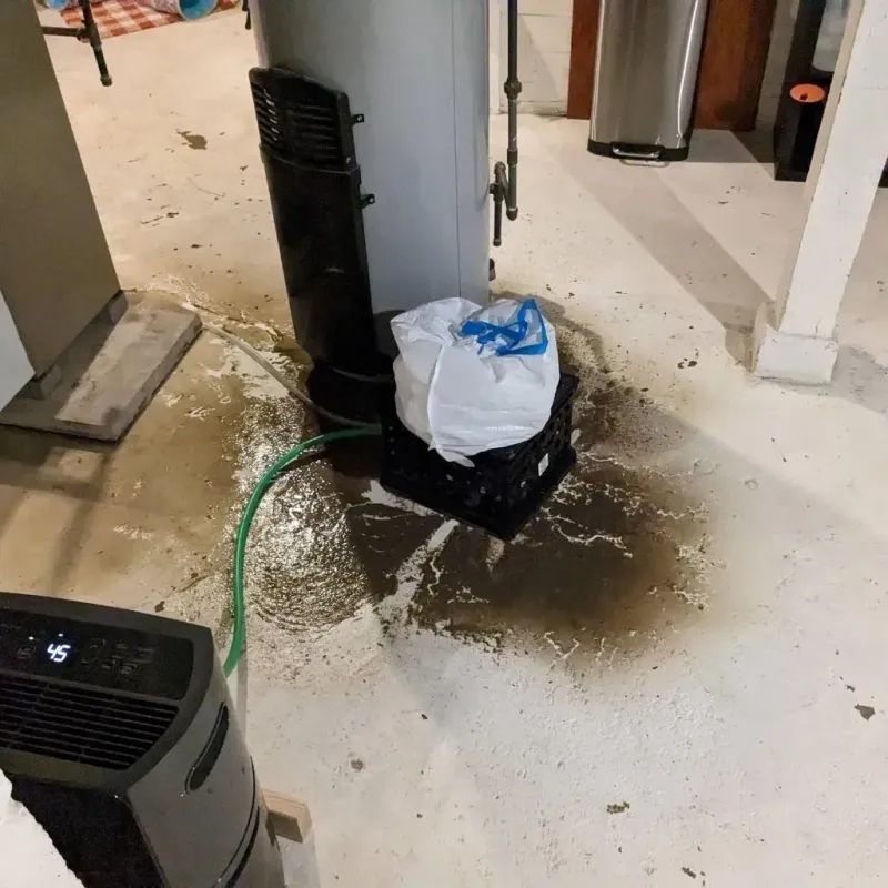 Sewage Backup Cleanup Service in Bayonne, NJ